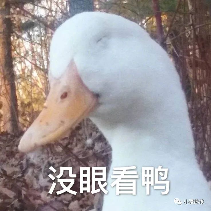 DƬ